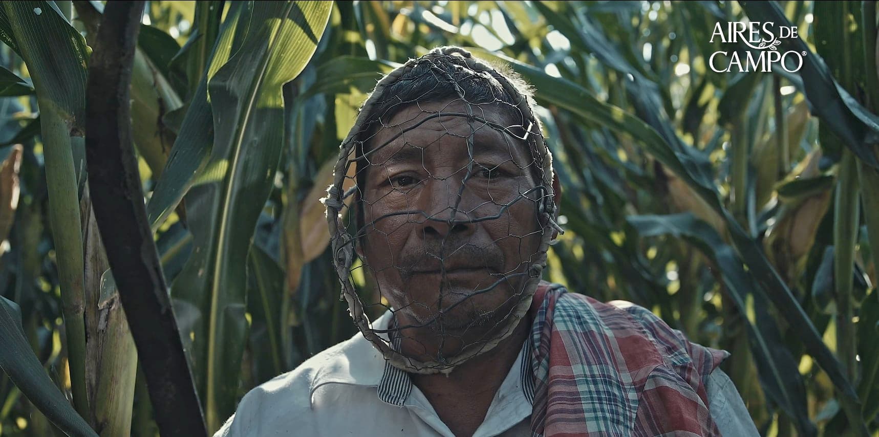 Guardianes de Campo | Documentales para Aires de Campo
