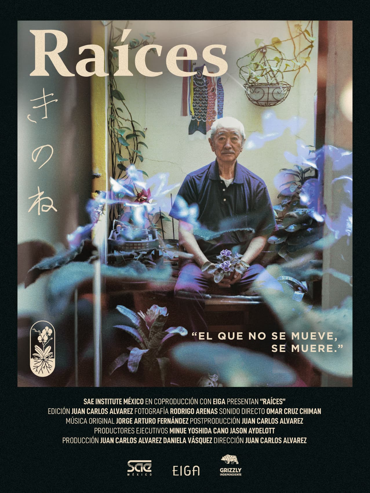 Raíces