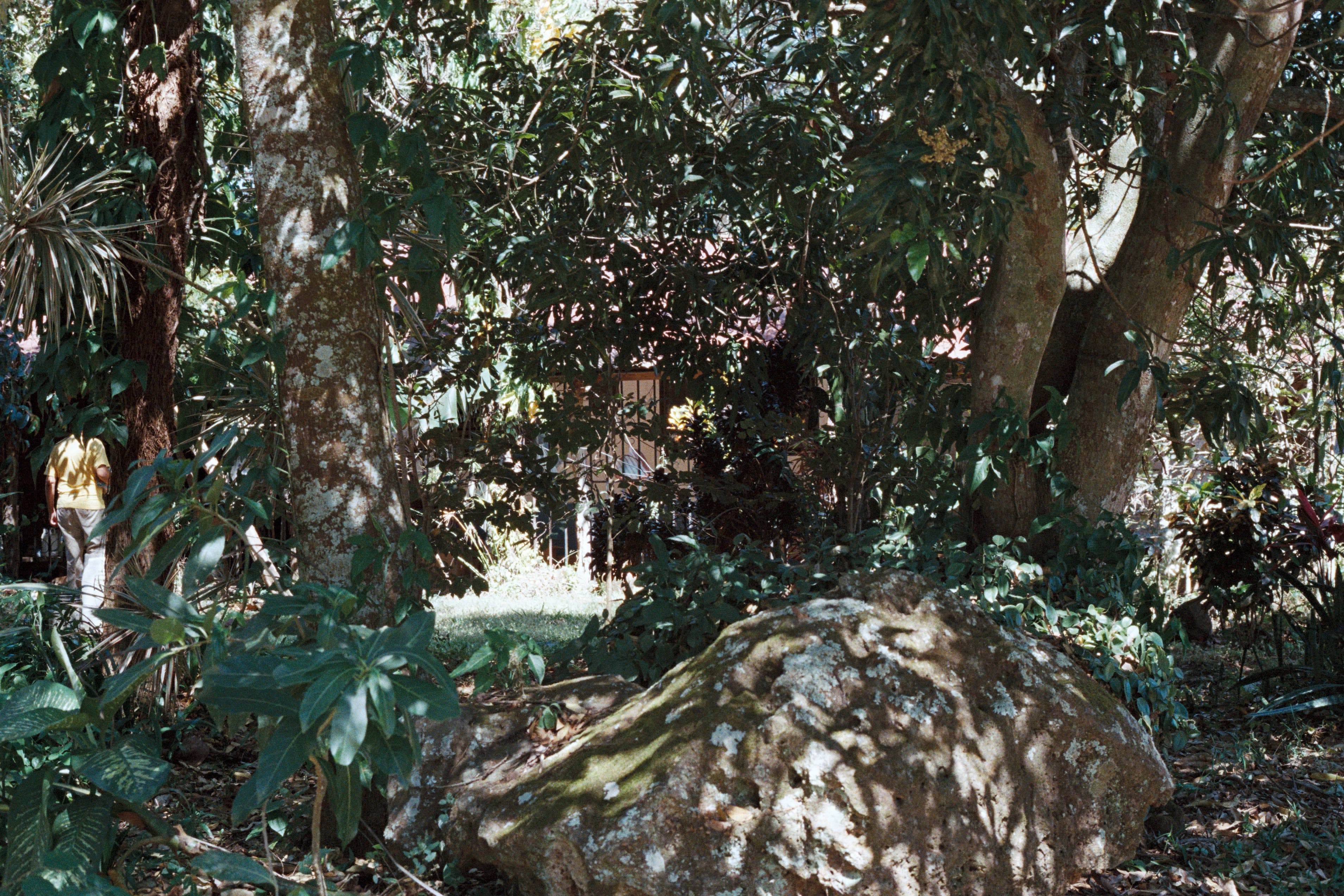Lorenzo Mora