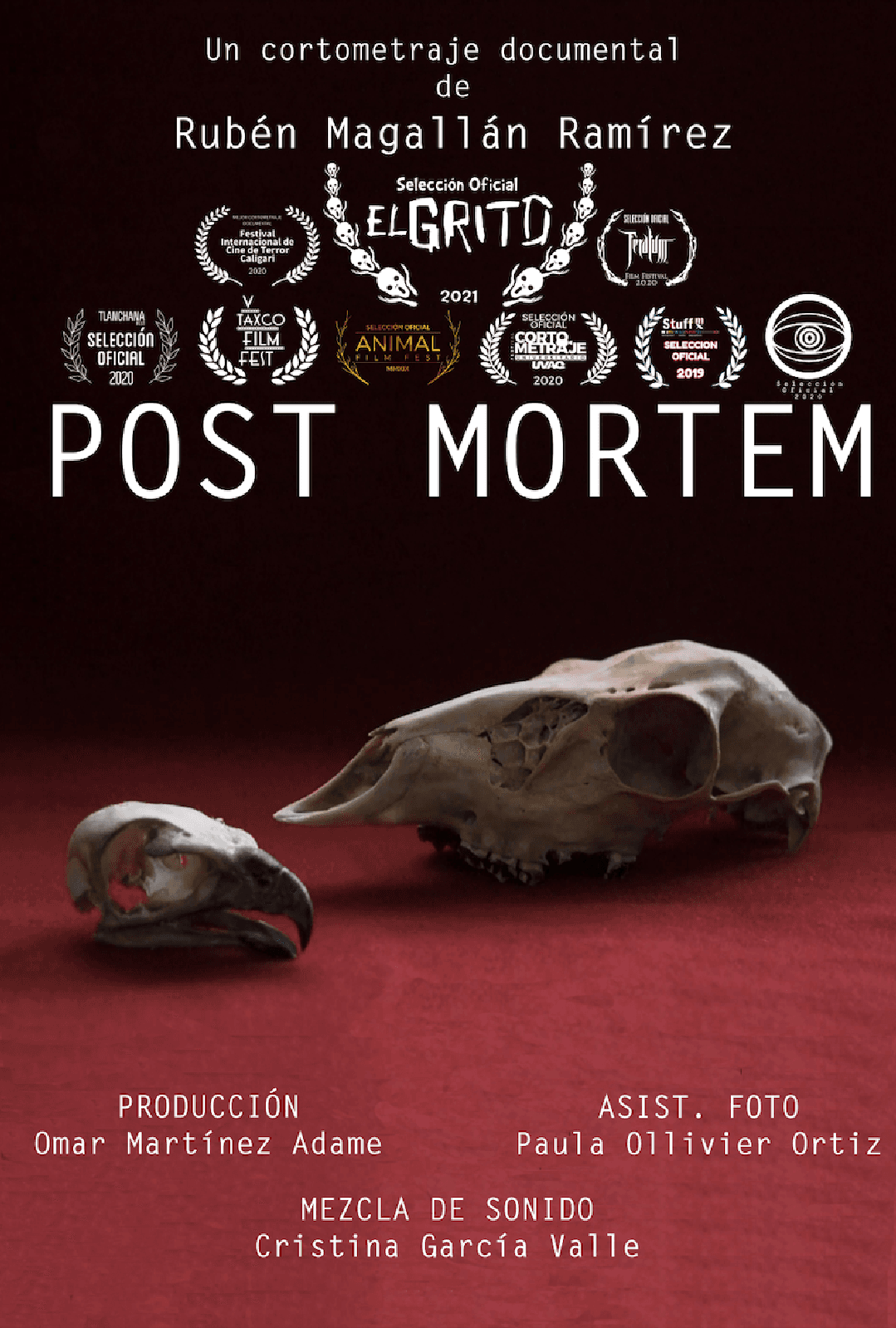 Post Mortem