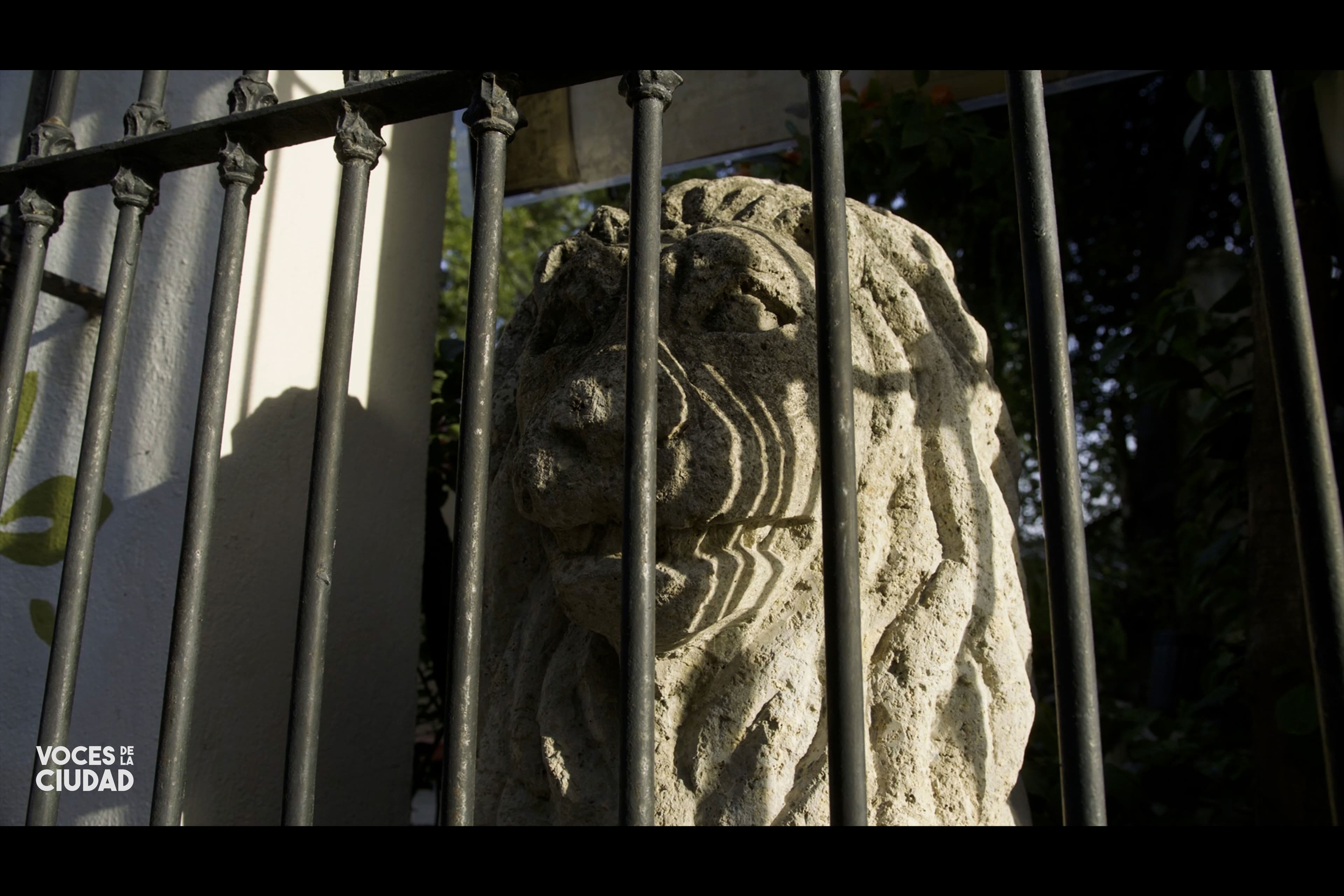 Ahí están los leones