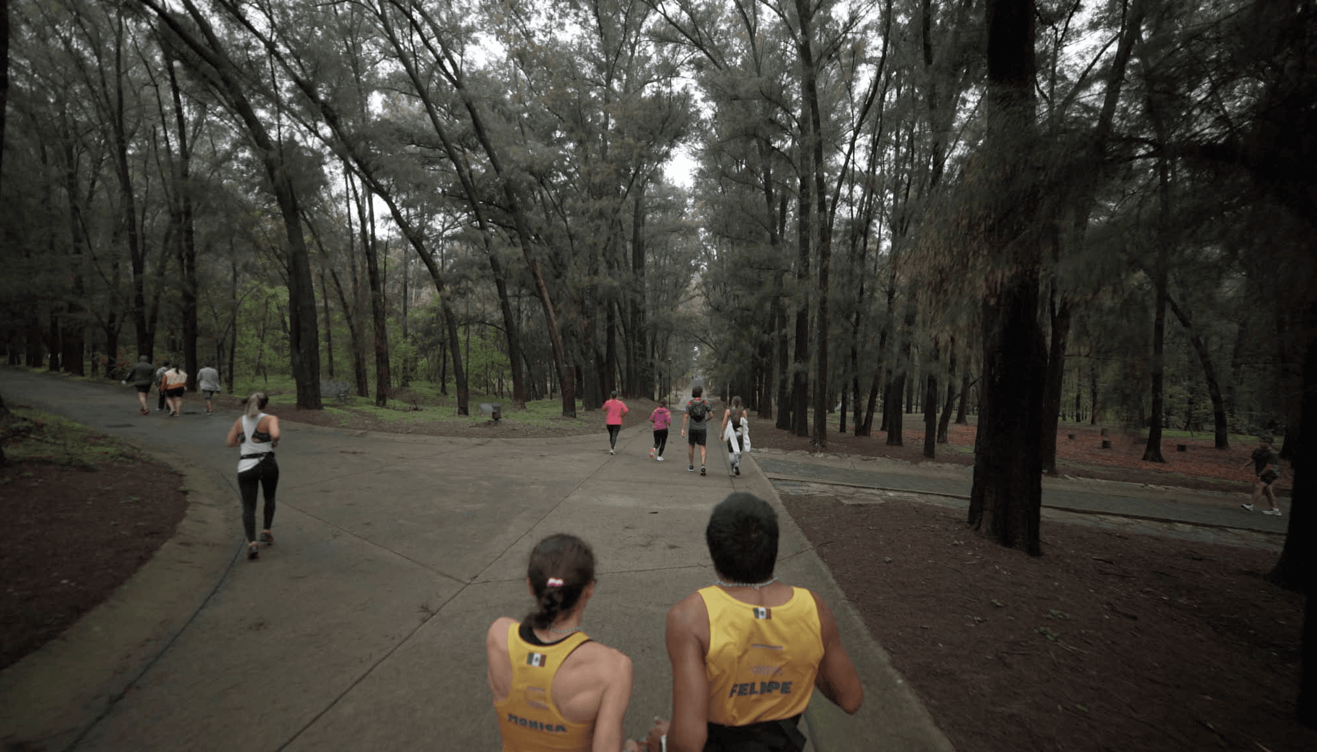 Las hijas del viento